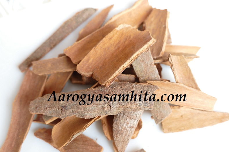 Cinnamon Dalchini Nutrition Facts Medicinal Health Benefits Uses