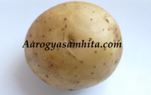 Potato