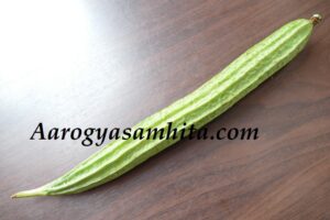 Ridge Gourd