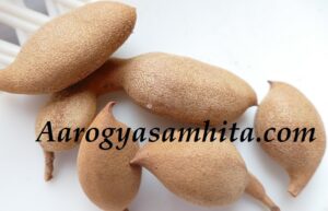 Tamarind / Imli