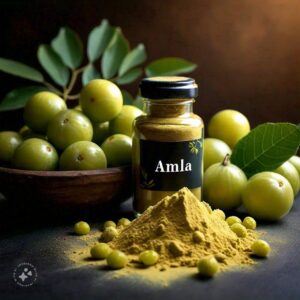 Amla Powder Uses: Benefits, Applications, Recipes, And How to Incorporate into Your Diet Tips