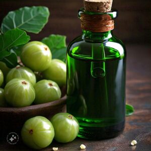 Amla Seed Oil: Benefits, Uses. How to Incorporate It into Routine?