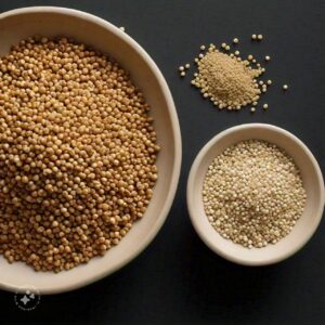 Quinoa vs Jowar (Sorghum): Nutritional Comparison, Health Benefits & Uses